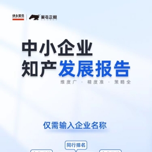 中小企业知产发展报告——探索知识产权的力量