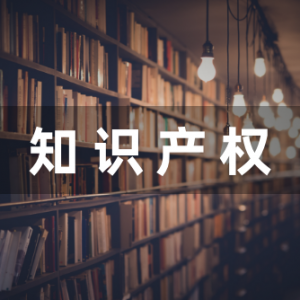 国家知识产权局到2025年遴选20个城市完成知识产权保护示范区建设 ...