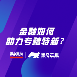 金融如何助力专精特新？