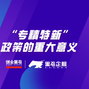 “专精特新”政策的重大意义