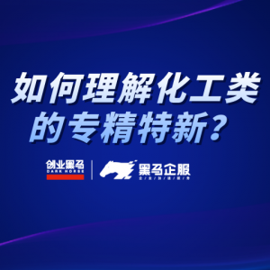 黑马企服科创云为大家解析化工企业领域独有的专精特新目标和规范。 ...