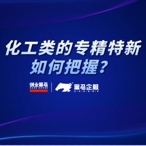 化工企业的专精特新如何去把握？