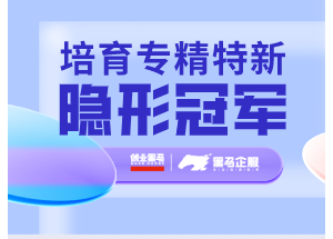 培育企业走“专精特新”之路 打造行业“隐形冠军”