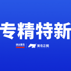 怎么通过申报与评审成为专精特新企业？