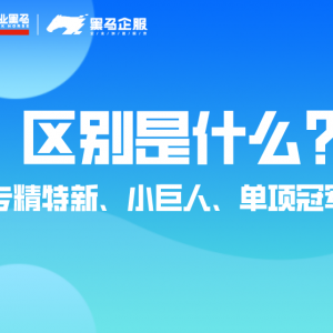 专精特新、小巨人、单项冠军的区别是什么？