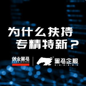 黑马企服科创云解析为什么要扶持“专精特新”企业？