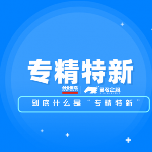 那么到底什么是“专精特新”，“小巨人”又是什么？