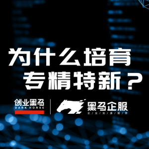 为什么要培育“专精特新”中小企业？