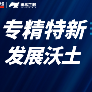 “专精特新”是中小成长风格下的重要主线