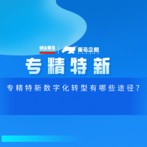 专精特新数字化转型有哪些途径？