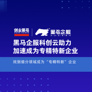 黑马企服科创云助力中小企业找到细分领域成为“专精特新”企业 ...