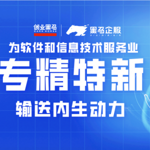 为软件和信息技术服务行业专精特新企业输送内生动力