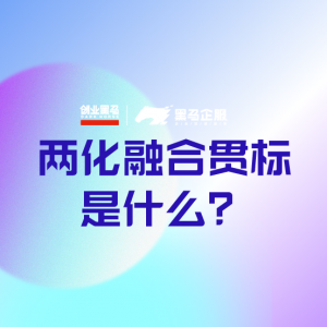 两化融合贯标是什么？