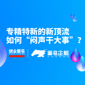 专精特新的新顶流如何“闷声干大事”？