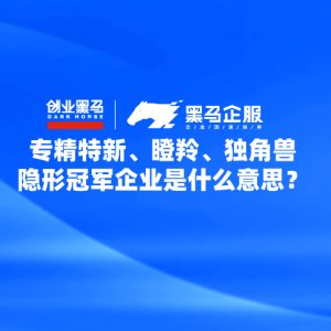 专精特新、瞪羚、独角兽、雏鹰、隐形冠军企业是什么意思？ ...